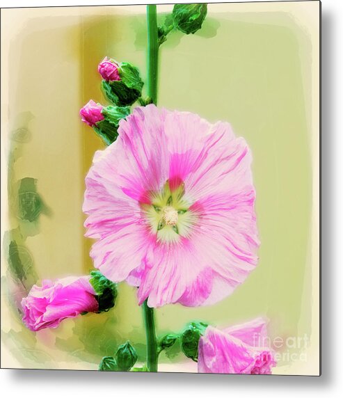 Israel Metal Print featuring the photograph Common Hollyhock #6 by Humourous Quotes