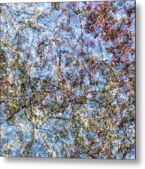 Spring Metal Print featuring the photograph Spring Season - Inspired by Jackson Pollock by Shankar Adiseshan