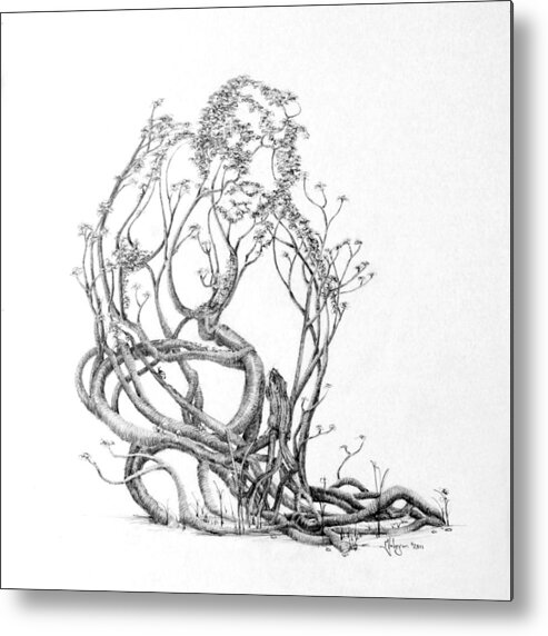 Tree Dancer Metal Print featuring the drawing A Bit of News by Mark Johnson