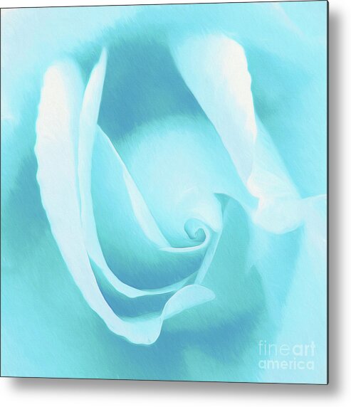 Roses-rosa Metal Print featuring the photograph A Blue Rose - Romantic Abstract Art by Scott Cameron
