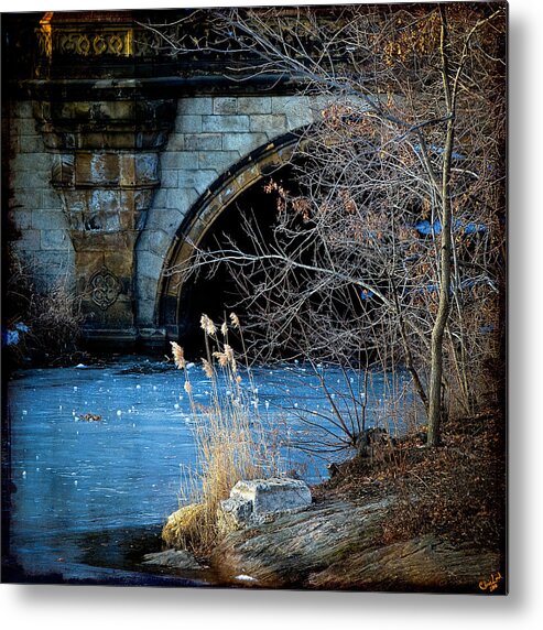 Central Park Metal Print featuring the photograph A Frozen Corner in Central Park by Chris Lord