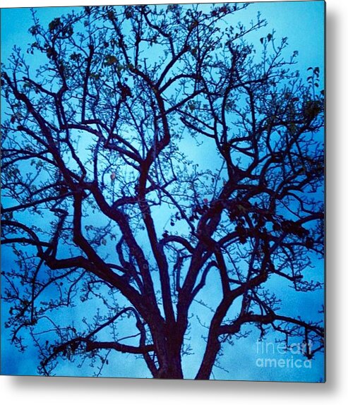 Tree Metal Print featuring the photograph A Moody Broad by Denise Railey