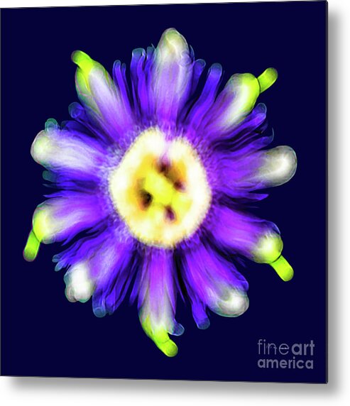 Abstract Metal Print featuring the photograph Abstract Passion Flower in Violet Blue and Green 002b by Ricardos Creations