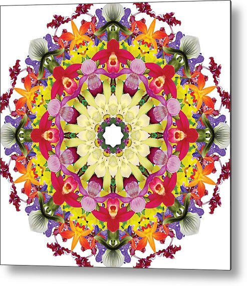 Mandala Metal Print featuring the photograph Abundantly colorful orchid mandala by R V James