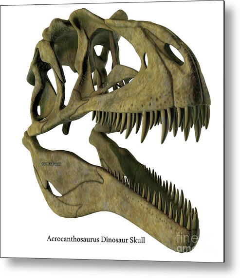 Acrocanthosaurus Metal Print featuring the digital art Acrocanthosaurus Skull with Font by Corey Ford
