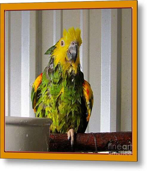 Photograph Metal Print featuring the photograph After the Bath by Victoria Harrington