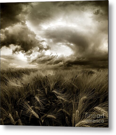 Storm Metal Print featuring the photograph After The Storm by Franziskus Pfleghart