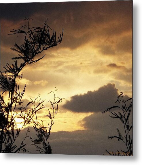 Sunset Metal Print featuring the photograph Amber Sky by Glenn McCarthy Art and Photography