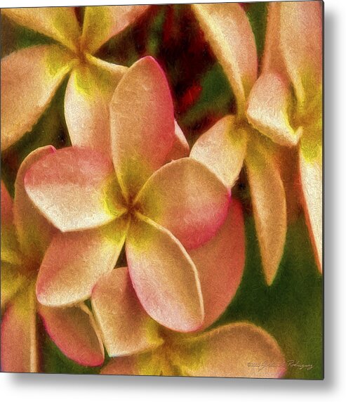 Plumeria Metal Print featuring the photograph Angel in Bloom by John A Rodriguez