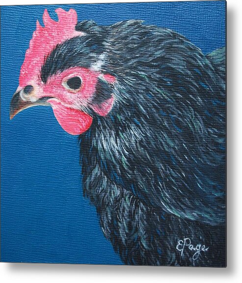 Chicken Metal Print featuring the painting Aretha, Black Star Chicken by Emily Page