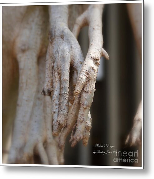 Tree Metal Print featuring the photograph Art Around the World Project by Shelley Jones