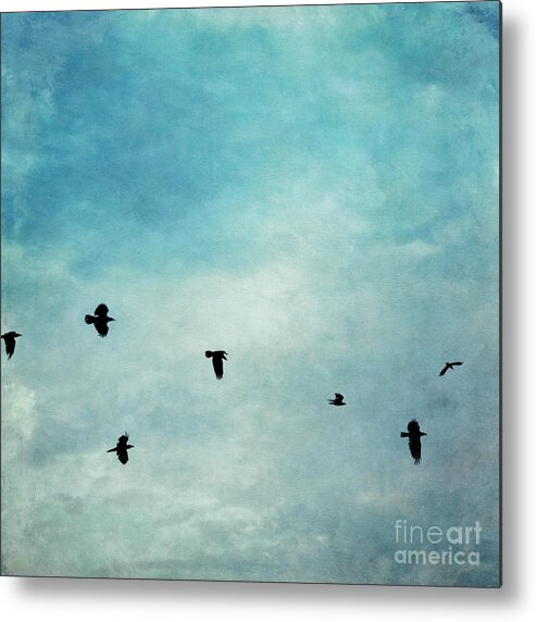 Clouds Metal Print featuring the photograph As the ravens fly by Priska Wettstein