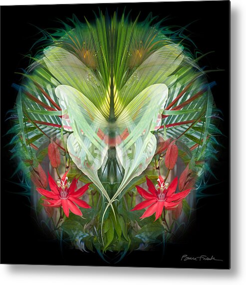 Botanical Metal Print featuring the photograph Ascent by Bruce Frank