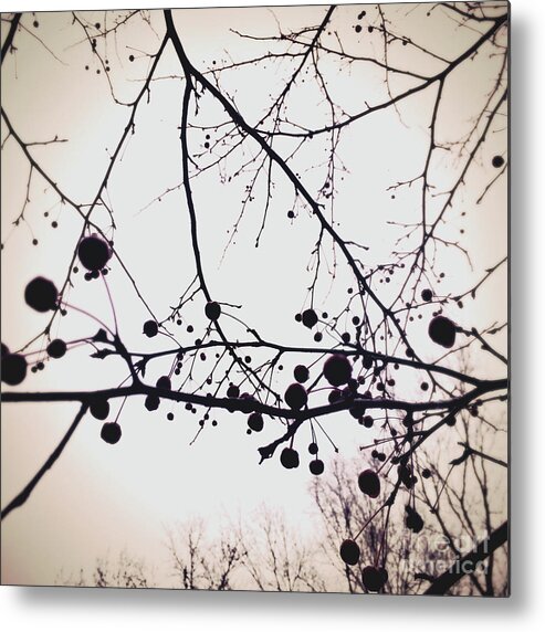 Dusk Metal Print featuring the photograph At Dusk by Onedayoneimage Photography