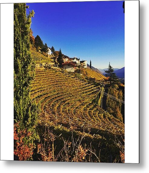 Outdoor Metal Print featuring the photograph Autunno A Tirolo.
#southtyrol #autumn by Luisa Azzolini