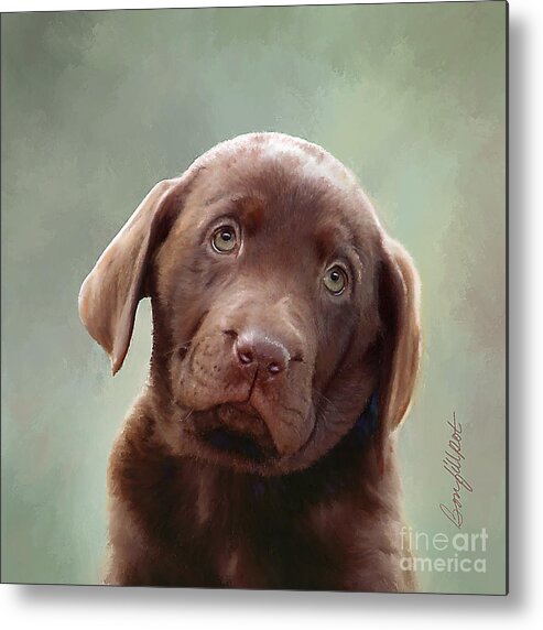 Chocolate Labrador Retriever Puppy Metal Print featuring the painting Baby Molly B by Bon and Jim Fillpot