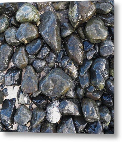 Beach Metal Print featuring the photograph Beach Stones by Eric Glaser