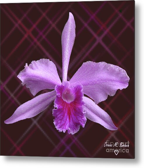 Flower Metal Print featuring the photograph Beautiful Floating Orchid by Donna Brown