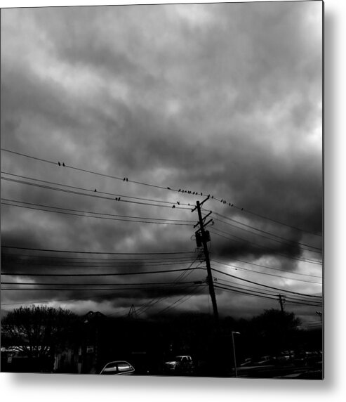 Birds Metal Print featuring the photograph Birds on a Wire 2018 by Chris Montcalmo