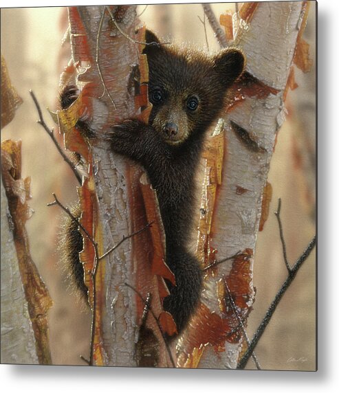 Bear Painting Metal Print featuring the painting Black Bear Cub - Curious Cub II by Collin Bogle