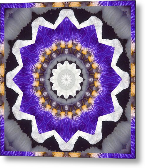Mandalas Metal Print featuring the photograph Bliss by Bell And Todd