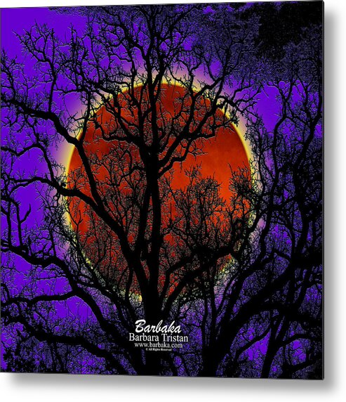 Moon Metal Print featuring the photograph Blood Moon Trees by Barbara Tristan