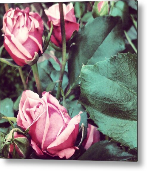  Metal Print featuring the photograph Blooming Romantics ) by Charley Upton