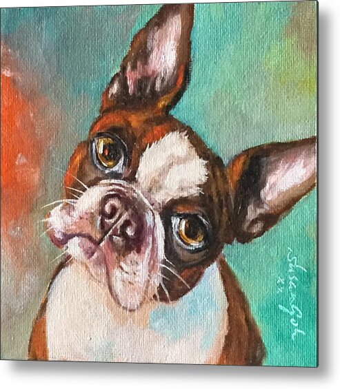 I See You Eating! White And Brown Boston Terrier 6 X 6 Oil Painting On Canvas Bonded On1.5 Depth Cradle Panel. Ready To Hang Metal Print featuring the painting I see you eating  white and brown boston terrier by Susan Goh