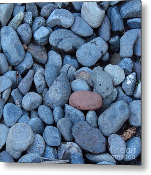 River Stones Metal Print featuring the photograph Blue Stones and One Red by Anita Adams