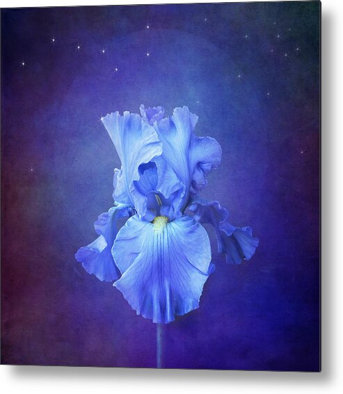 Blue Iris Flower Metal Print featuring the photograph Blue Symphony by Marina Kojukhova