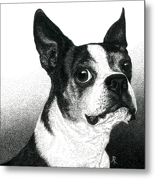 Dog Metal Print featuring the drawing Boston Style by Ann Ranlett