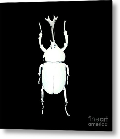 Bug Metal Print featuring the photograph Bug Series 026 by Clayton Bastiani