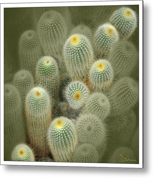 Cactus Metal Print featuring the photograph Cactus Parade by Peggy Dietz