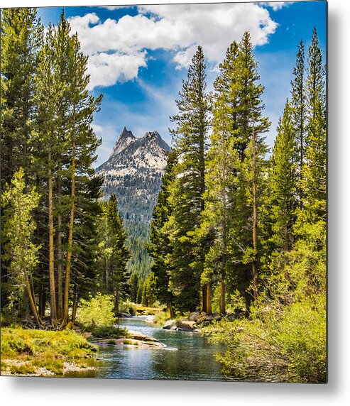Landscape Metal Print featuring the photograph Cathedral Peak by Susan Eileen Evans