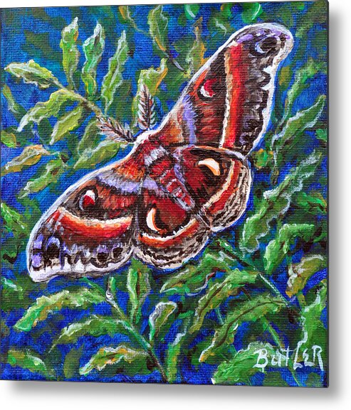 Nature Moth Insect Butterfly Wings Fern Metal Print featuring the painting Cecropia Moth by Gail Butler