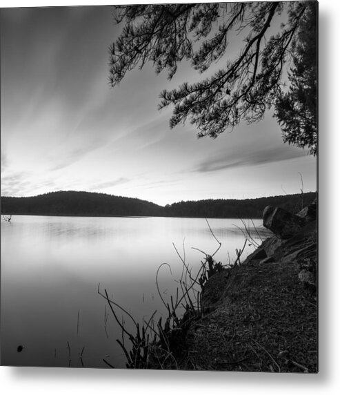 Tree Metal Print featuring the photograph Cedar Lake BW 2 by Hillis Creative
