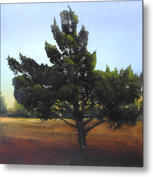 Cedar Metal Print featuring the painting Cedar SOLD by Cap Pannell