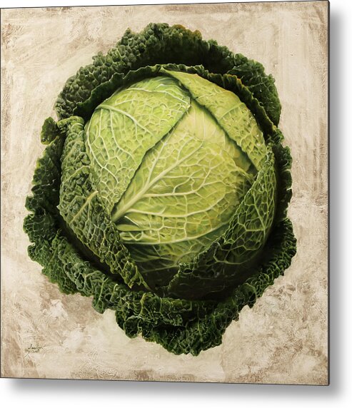 Cabbage Metal Print featuring the painting Checcavolo by Danka Weitzen