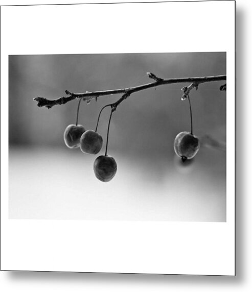 Monochrome Metal Print featuring the photograph Cherries

#monochrome #blackandwhite by Mandy Tabatt