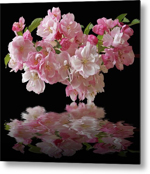 Cherry Blossom Metal Print featuring the photograph Cherry Blossom Reflections on Black by Gill Billington