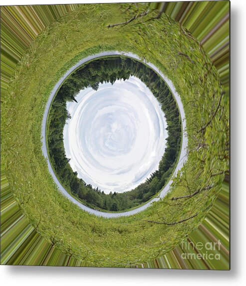 Tree Metal Print featuring the photograph Circle Lake... by Vivian Martin