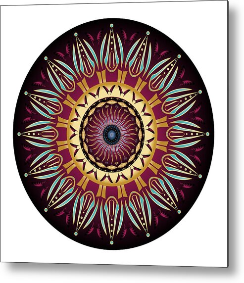 Mandala Metal Print featuring the digital art Circularium No 2639 by Alan Bennington