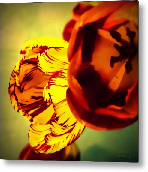 Tulip Metal Print featuring the photograph Circus of Color by Melissa Bittinger