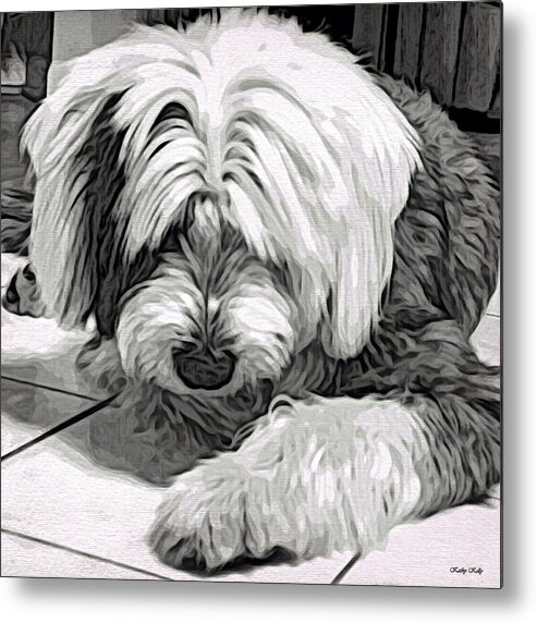 Old English Sheepdog Metal Print featuring the digital art Clueless by Kathy Kelly