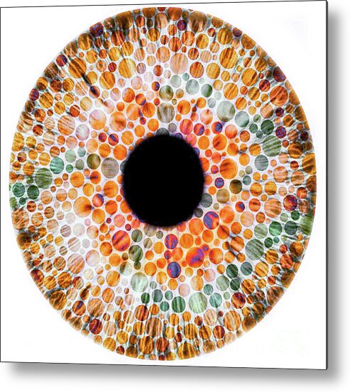 Eye Metal Print featuring the photograph Color blindness, conceptual image chart by Doc Braham