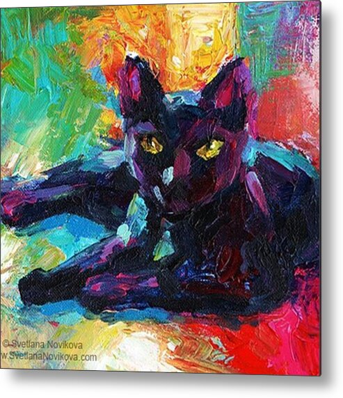 Popart Metal Print featuring the photograph Colorful Black Cat Painting By Svetlana by Svetlana Novikova
