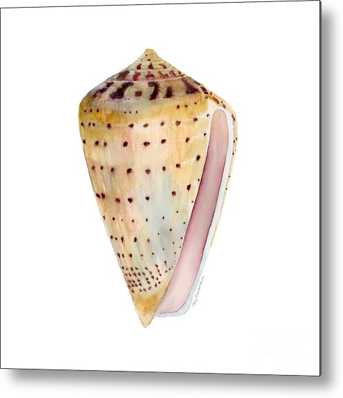 Leopardus Shell Painting Metal Print featuring the painting Conus Leopardus Shell by Amy Kirkpatrick