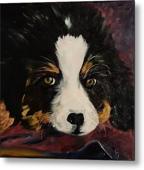 Puppy Metal Print featuring the painting Cookie Bernese Mountain Dog  10 by Cheryl Nancy Ann Gordon