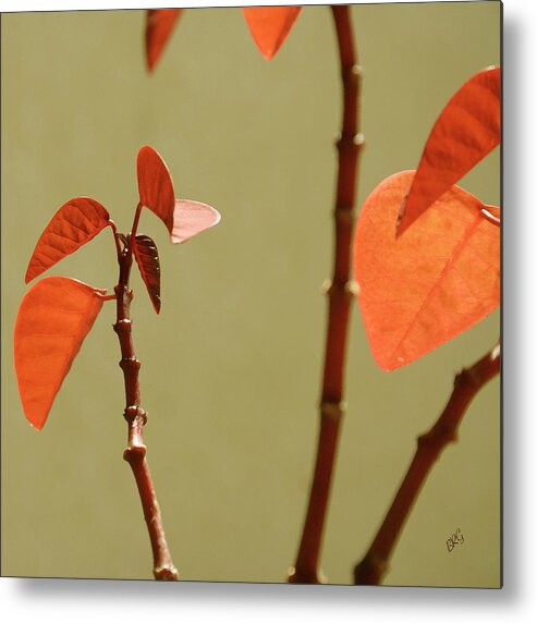 Orange Leaves Metal Print featuring the photograph Copper Plant 2 by Ben and Raisa Gertsberg