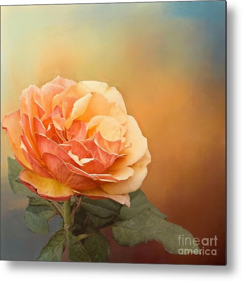 Rose Metal Print featuring the photograph Coral Rose with Scattered Sunshine by Janette Boyd